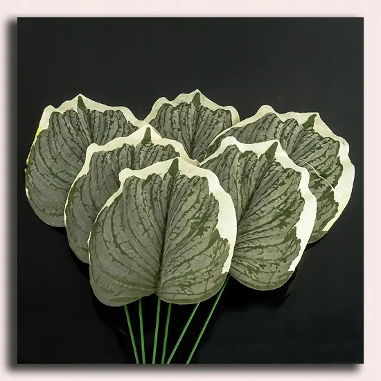lisc-melon-green-white-micro-touch-stan-nowy