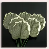 lisc-melon-green-white-micro-touch-stan-nowy