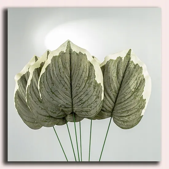lisc-melon-green-white-micro-touch-stan-nowy