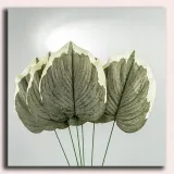 lisc-melon-green-white-micro-touch-stan-nowy