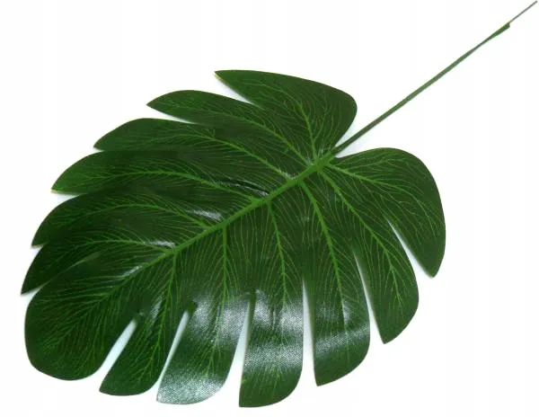 lisc-philo-mini-liscie-filodendron-green-stan-nowy
