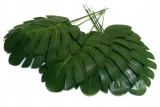 lisc-philo-mini-liscie-filodendron-green-stan-nowy