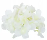 hortensja-glowka-satyna-white