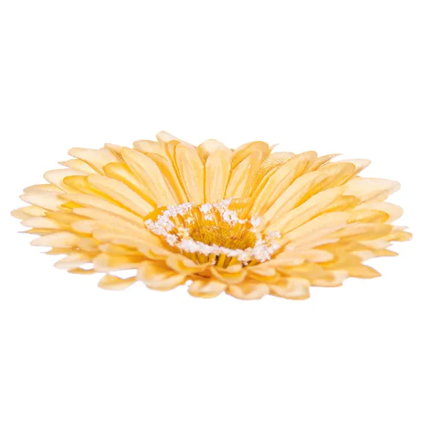 gerbera-glowka-zolta