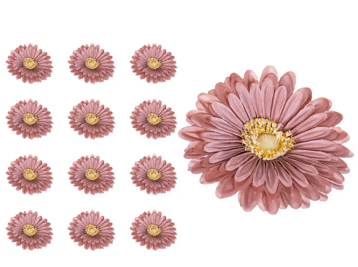 gerbera-glowka-jasny-braz-x12