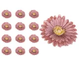 gerbera-glowka-jasny-braz-x12