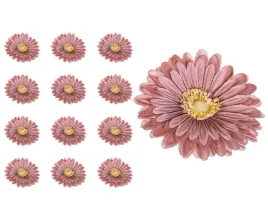 gerbera-glowka-jasny-braz-x12