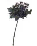 koper-galazka-lilac