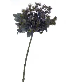 koper-galazka-lilac