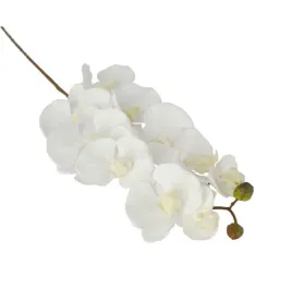 storczyk-bialy-galazka-94cm