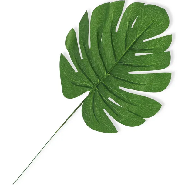 monstera-lisc-12-sztuk