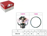 termostat-vw-eps