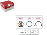 termostat-ford-focus-82c-eps