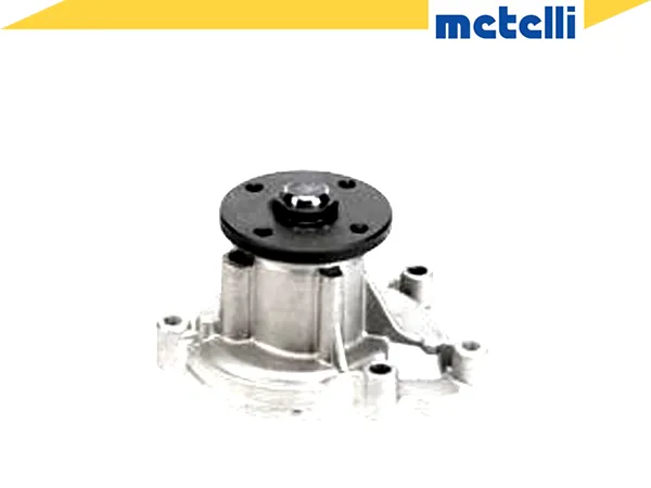 pompa-wodna-wody-metelli-producent-czesci-metelli