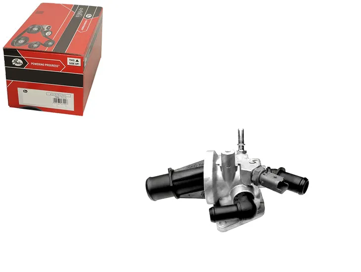 termostat-fiat-gates