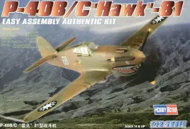 model-plastikowy-p-40b-c-hawk-81