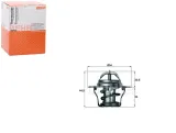 termostat-behr