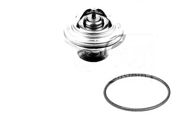 termostat-80c-bmw-3-e36-5-e34-5-e39-7-e38