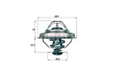 termostat-bmw-88c-e30-36-mahle-stan-nowy