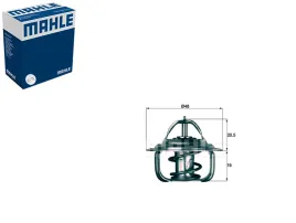 termostat-mahle