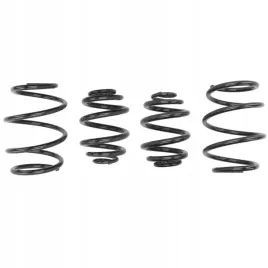 sprezyny-eibach-pro-kit-bmw-3-e46-r6-diesel