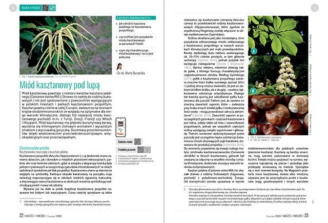 pasieka-nr-2-2023-pas118-stan-nowy-kod-produktu-pas118
