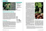 pasieka-nr-2-2023-pas118-stan-nowy-kod-produktu-pas118
