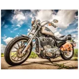 diamentowa-mozaika-motor-harley