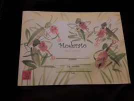 zeszyt-do-nut-moderato