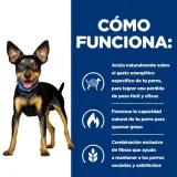 hill-s-canine-metabolic-mini-6kg
