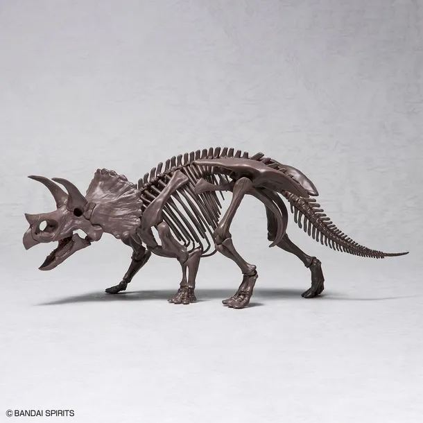 imaginary-skeleton-1-32-triceratops