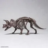 imaginary-skeleton-1-32-triceratops