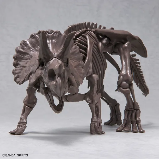 imaginary-skeleton-1-32-triceratops