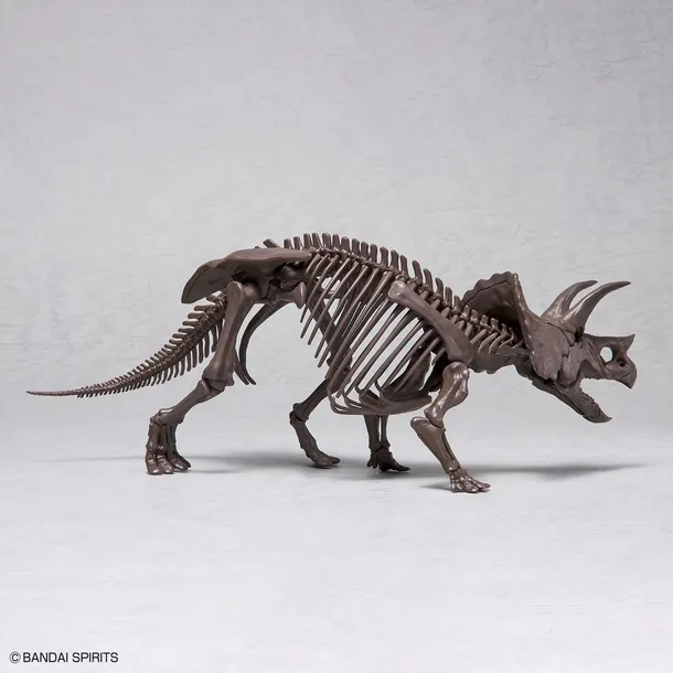 imaginary-skeleton-1-32-triceratops