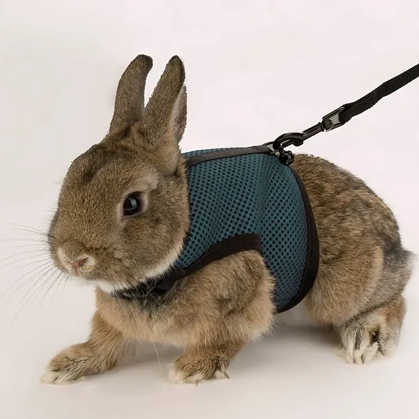 jogging-small-harness-szelki-dla-chomika