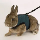 jogging-small-harness-szelki-dla-chomika