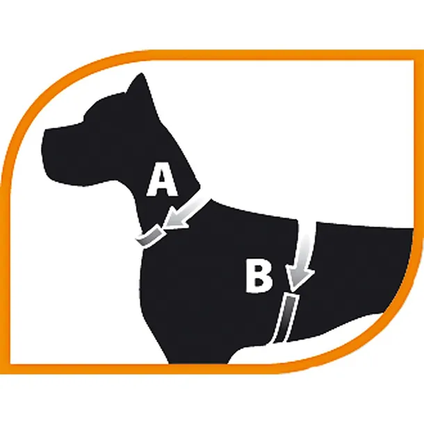jogging-small-harness-szelki-dla-chomika