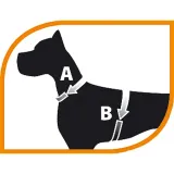 jogging-small-harness-szelki-dla-chomika