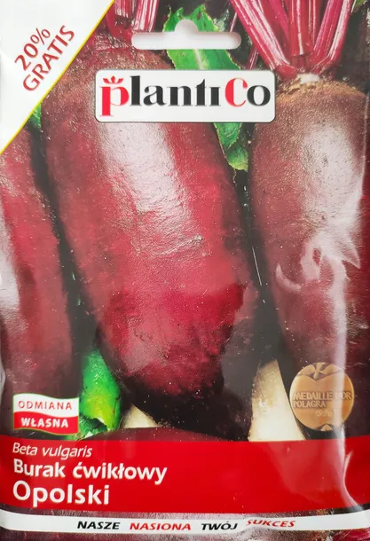 burak-cwiklowy-opolski-styl-ogrod-wiejski