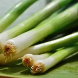 cebula-siedmiolatka-kroll-plantico-waga-z-opakowaniem-0-002-kg