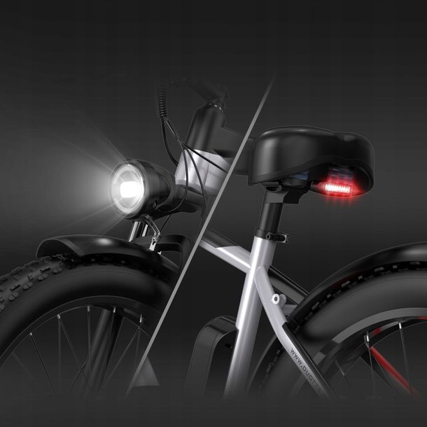 Rower elektryczny DUOTTS F26 48V 20Ah szary ERLI.pl