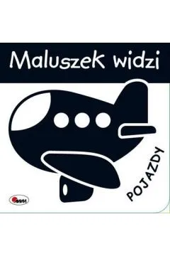 maluszek-widzi-pojazdy-awm-bcd