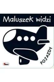 maluszek-widzi-pojazdy-awm-bcd