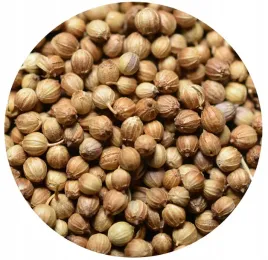 kolendra-ziarno-1000g-naturalna-przyprawa