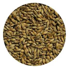 slod-monachijski-ciemny-viking-malt-1kg