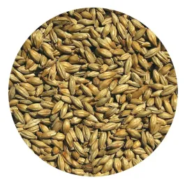 slod-monachijski-jasny-viking-malt-1kg