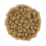 avantis-gourmet-lamb-15kg