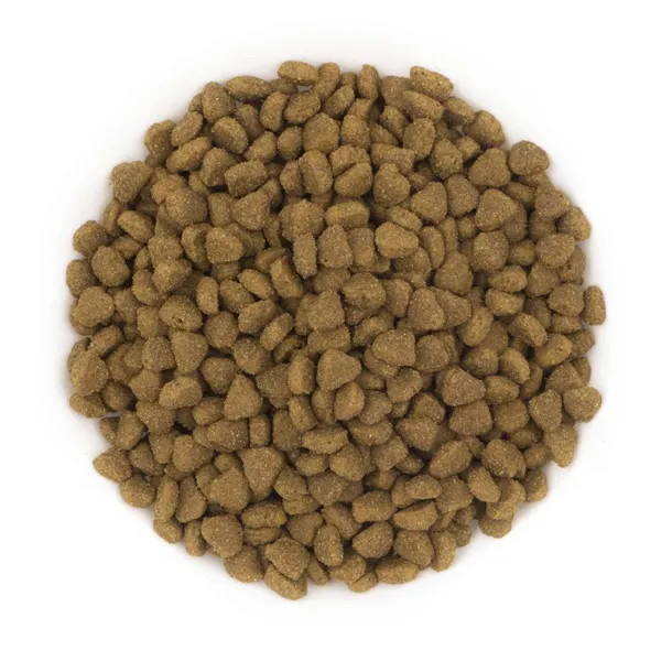 avantis-cats-2kg
