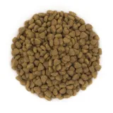 avantis-cats-2kg