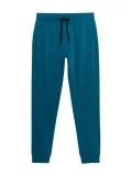 spodnie-dresowe-4f-denim-4fss23-ttrom223